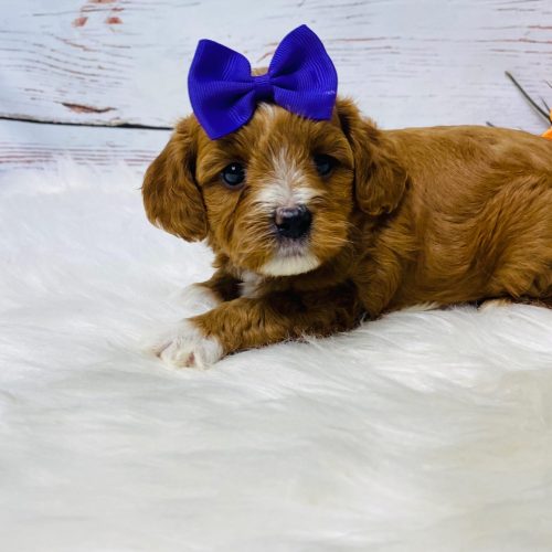 39874802-75c0-431a-96a8-ec00b3628813