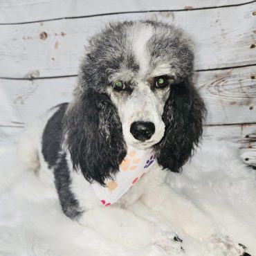 Resized_20251124_121547